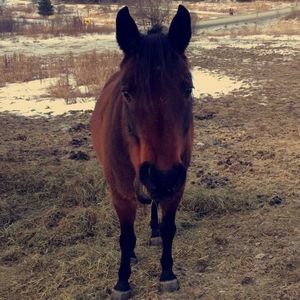 Meet your Posher, Jody